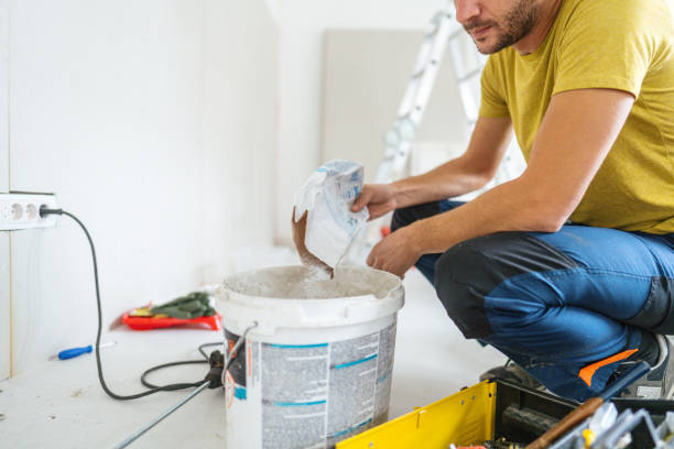 Best Mold Odor Removal Services  in Bothell West, WA