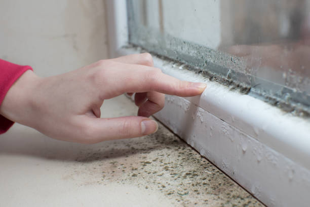 Best Biohazard Mold Removal  in Bothell West, WA