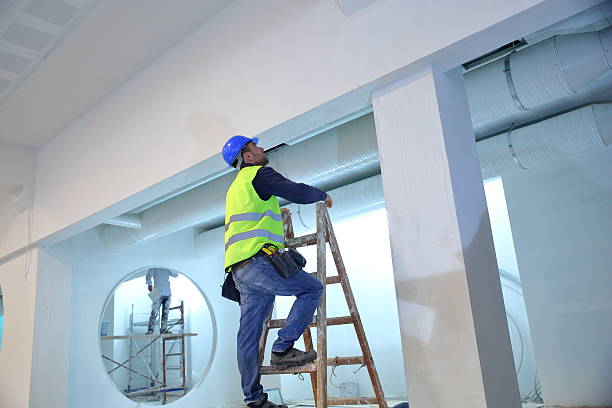 Best Basement Mold Removal  in Bothell West, WA